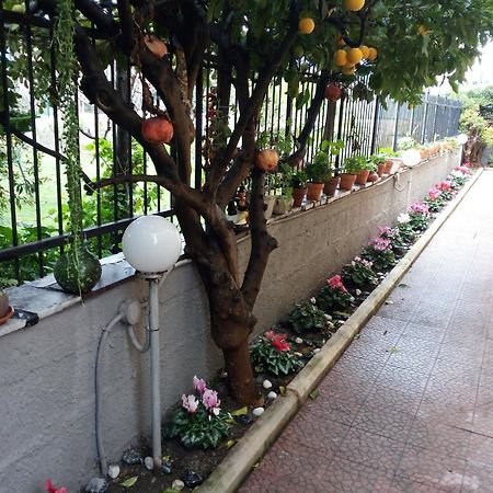 Green Garden Pompeya Exterior foto